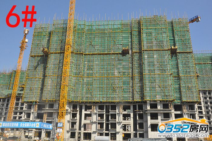 011717417d00f232a71294.jpg 6#.JPG