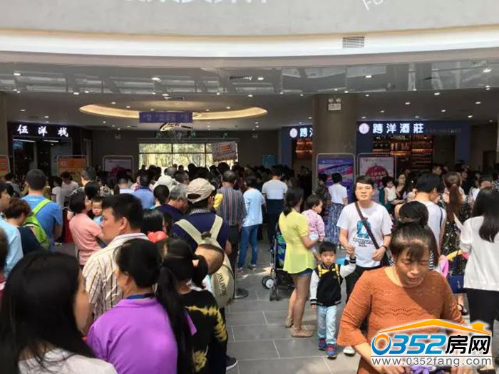 101718026c6cd4cc237855.jpg 風信子1.jpg