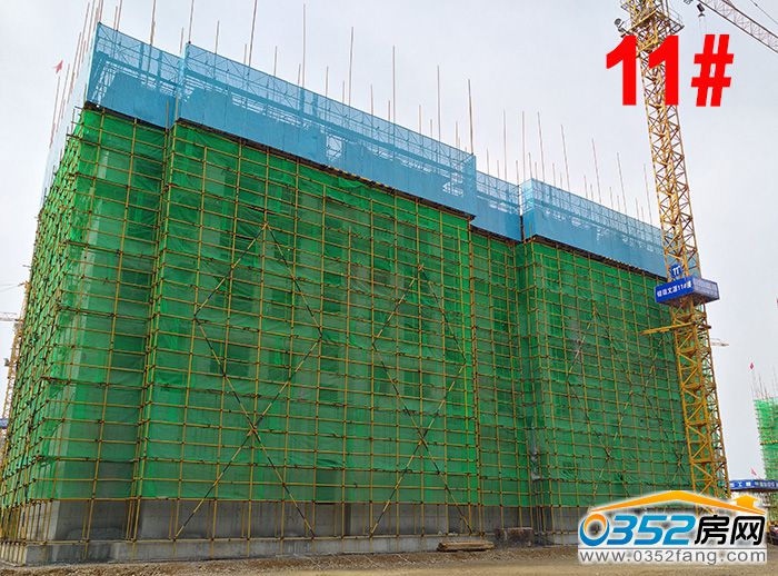 04180036fab1309e089706.jpg 11#.jpg