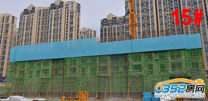 04180117c7e7d332374598.jpg 15.JPG