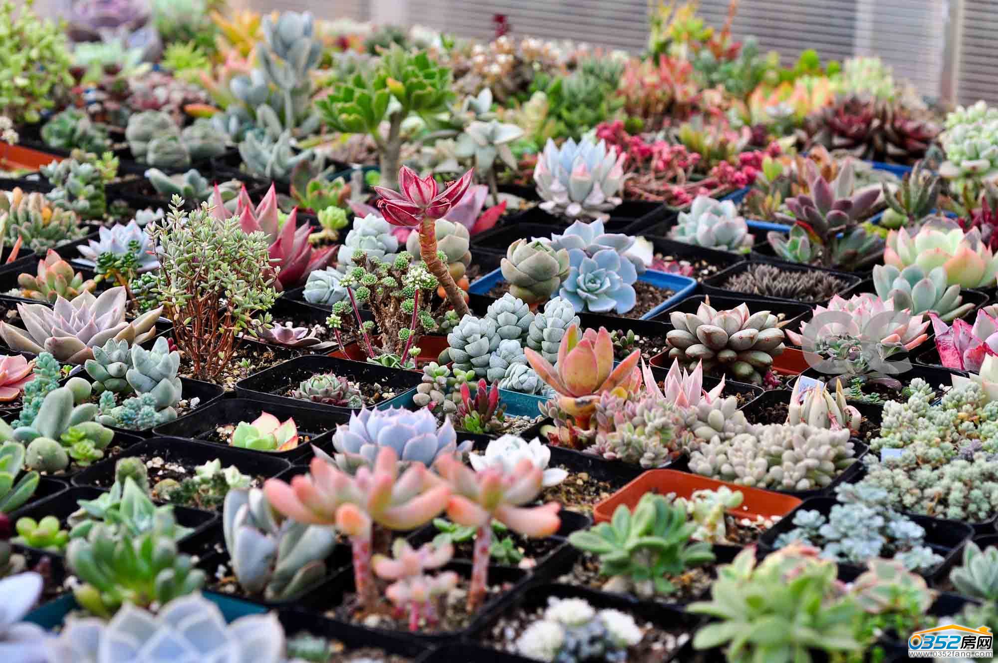 091556528b4b774b3d5333.jpg 091556528b4b774b3d5333.jpg