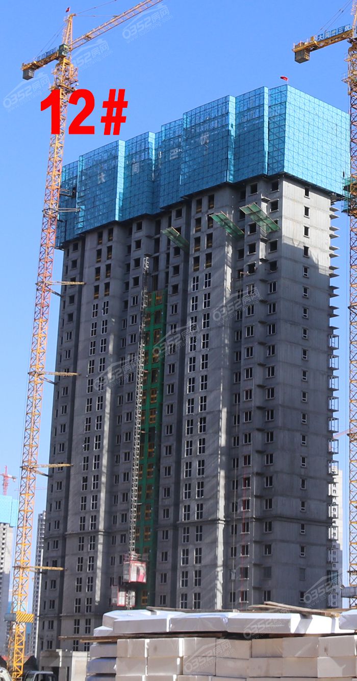 2416000210433d0a648465.jpg 12.JPG