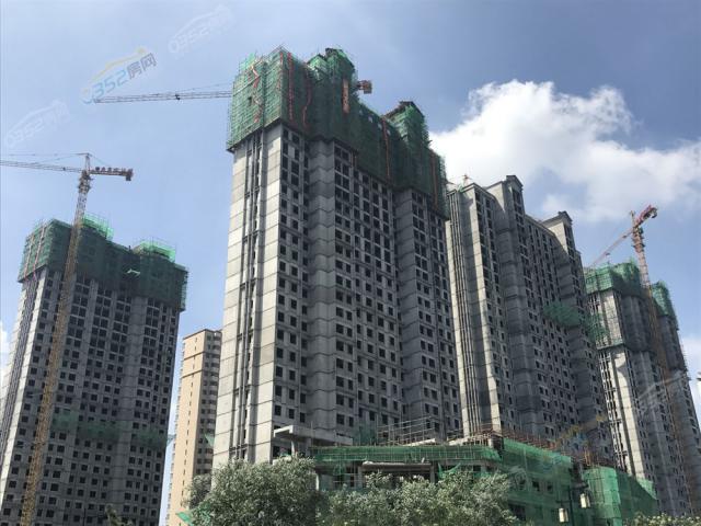 2018.7.31���̌���