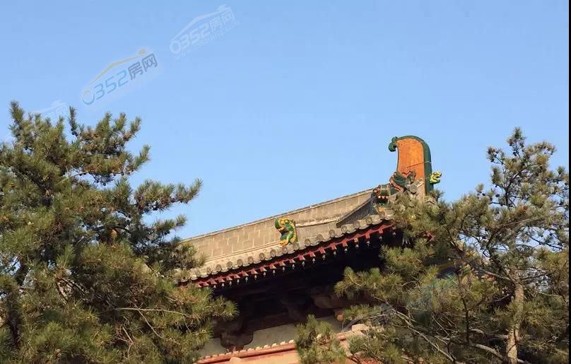 161651341823677a205381.jpg 161651341823677a205381.jpg