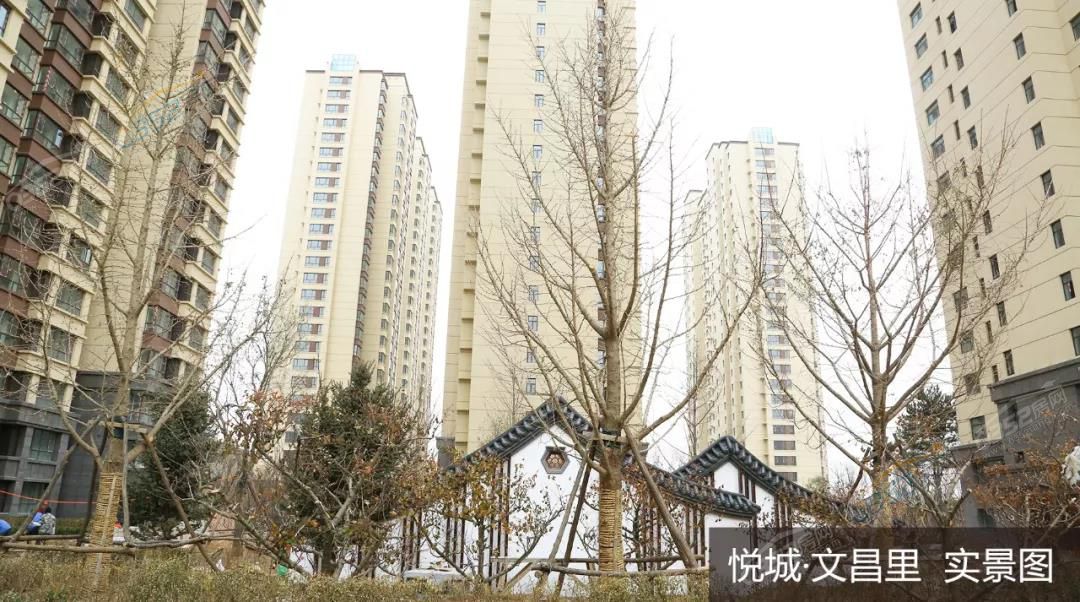 19163847dde19ce0347641.jpg 19163847dde19ce0347641.jpg