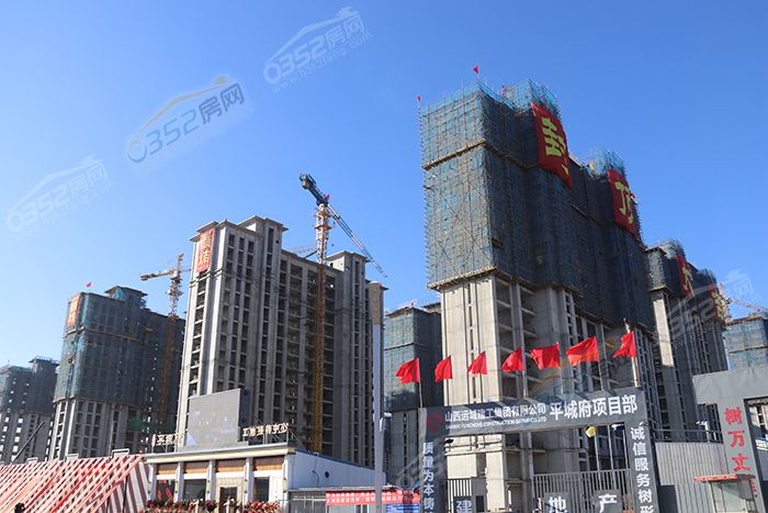 141649353281beaa439779.jpg IMG_3736.JPG