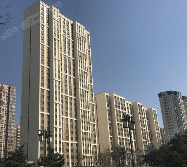 3.25金港園工程進度