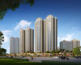 �����ݾ�������