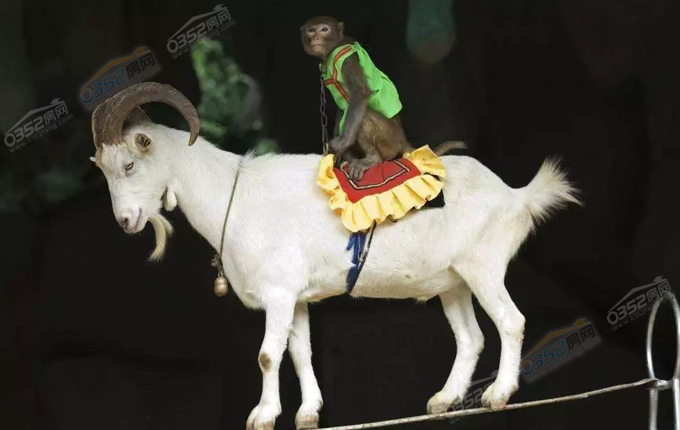 251509489ea478d0c29460.png 251509489ea478d0c29460.png