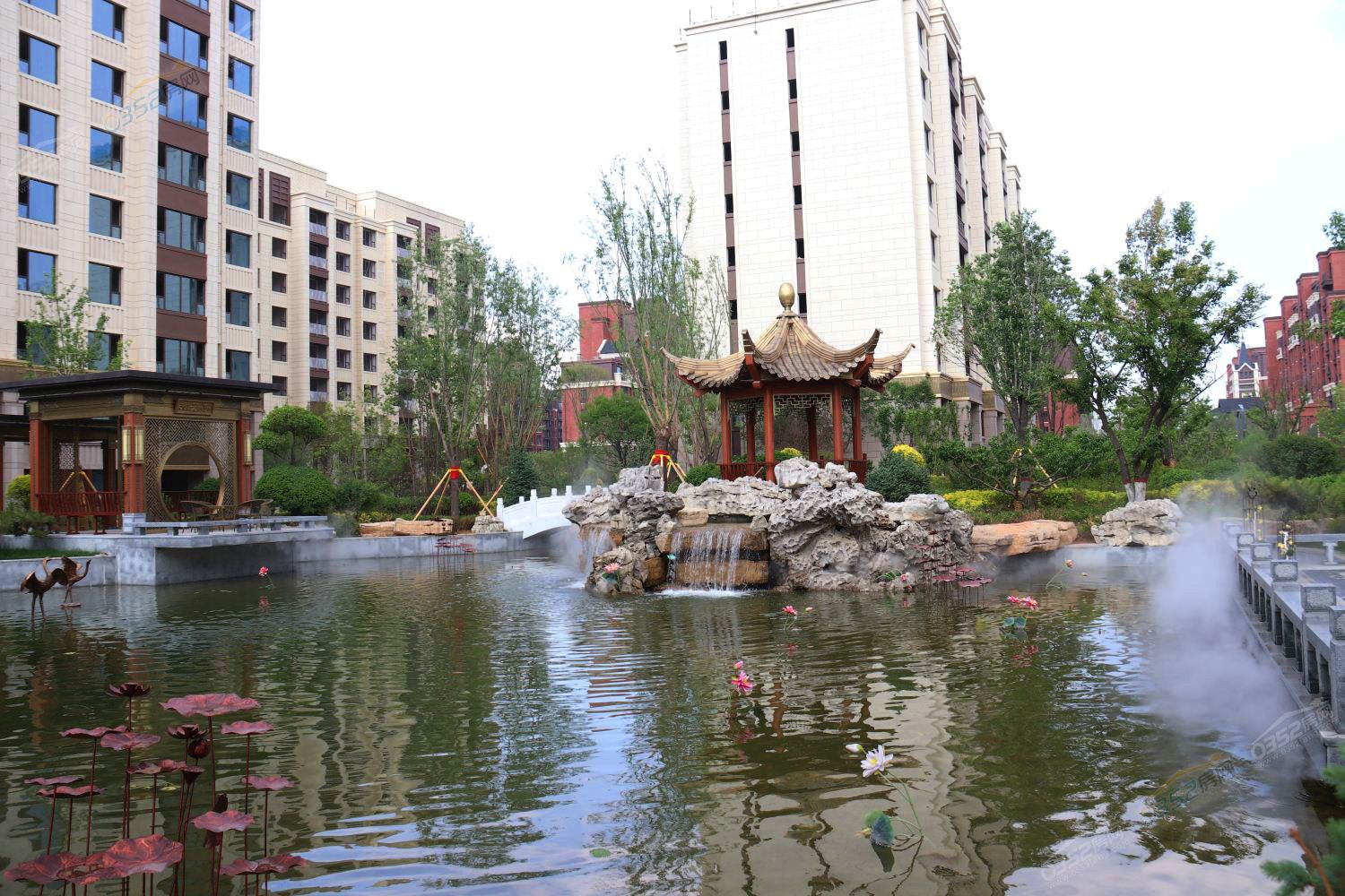 211610129da16542807298.jpg 211610129da16542807298.jpg