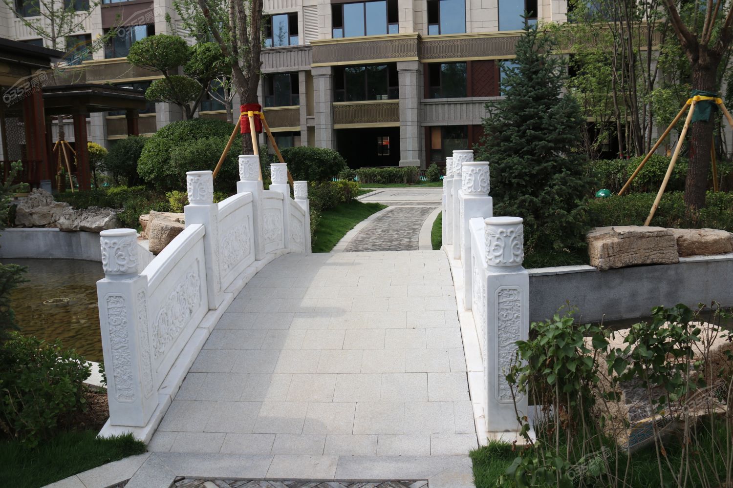 211611065029a206ce4584.jpg 211611065029a206ce4584.jpg