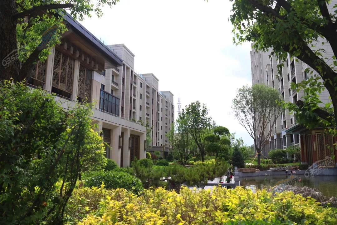 21161215292a13a0021204.jpg 21161215292a13a0021204.jpg