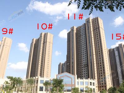 2019.7.239/10/11/15#D