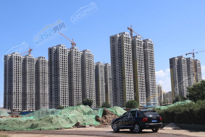 141726170dec3371cd4704.jpg IMG_1241.JPG