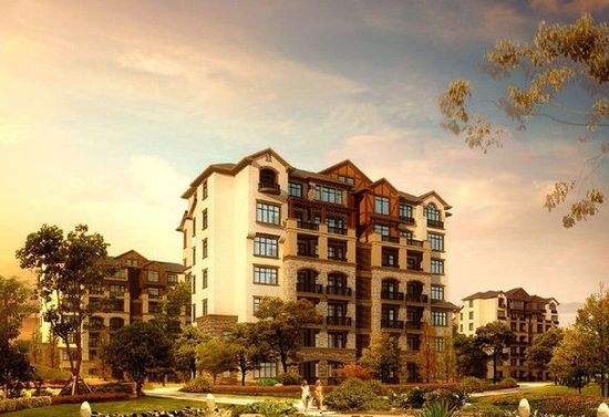 1716041301581542c45686.jpg 1716041301581542c45686.jpg