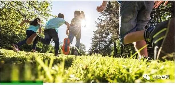 1716093417fe5d4dc53232.jpg 1716093417fe5d4dc53232.jpg