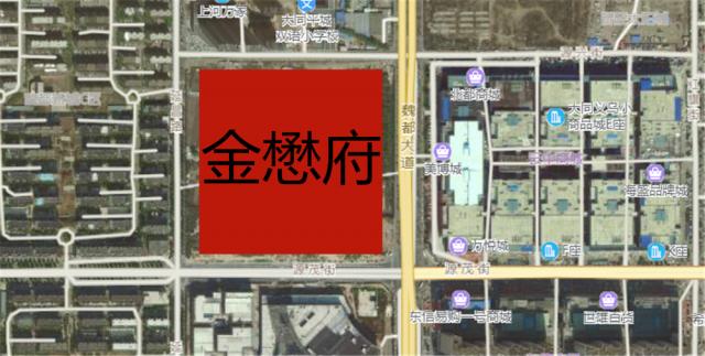 金懋府衛星圖
