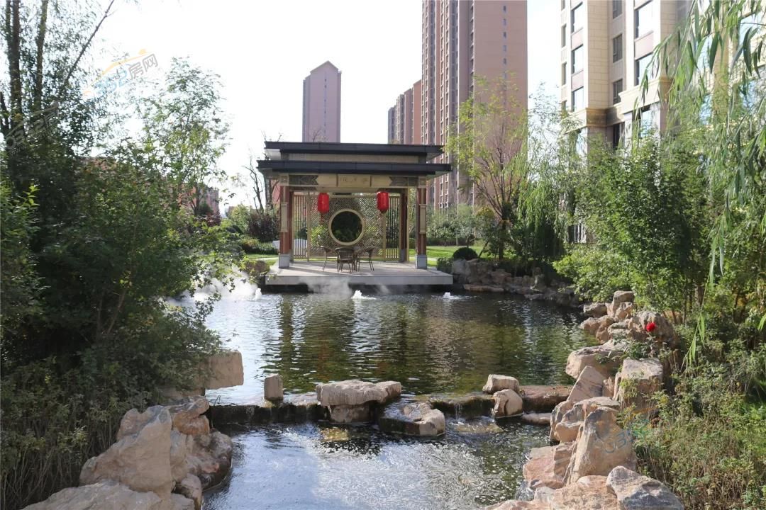 11145058d6dbd196cd5701.jpg 11145058d6dbd196cd5701.jpg