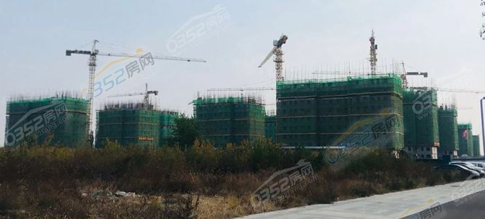 2814372396b0efeff41500.jpg 1717243337f83017958610.jpg