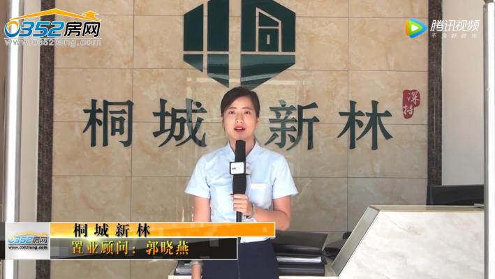 桐城新林沙盤講解