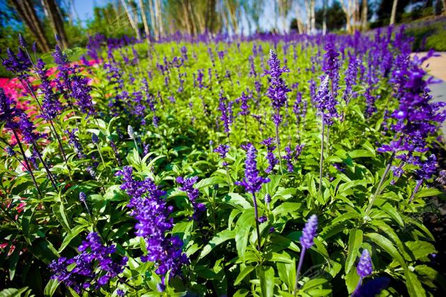 富力城社區實景