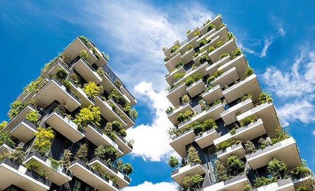 15165954c09a7a9fe89087.jpeg f80178a7ca9547bba6315df64c558d4b.jpeg