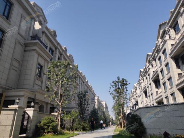 ������(sh��)���D