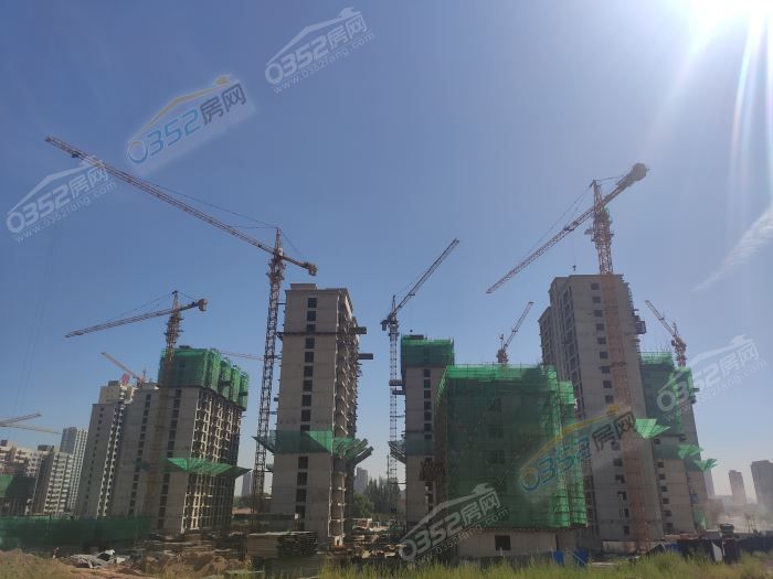 071726555f42810d7a0274.jpg 7.jpg