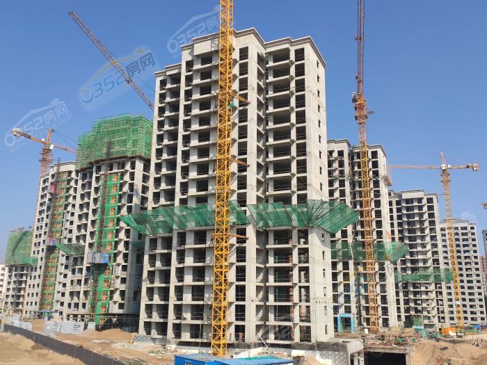 301702349f76313c836221.jpg 70a3347d619431d26f6b239b5bbecb0.jpg