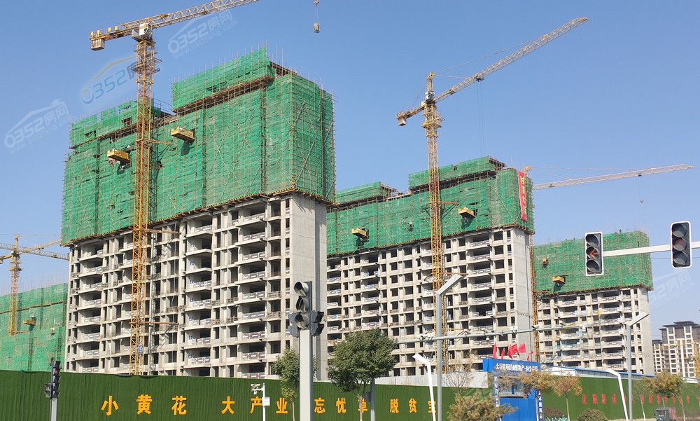 02145035e3c1287f065845.jpg 太和道.jpg