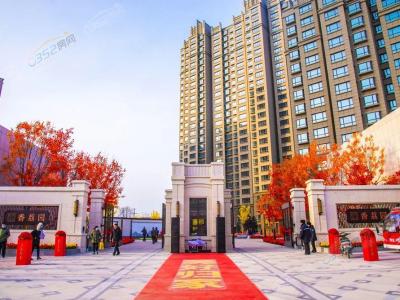 2020.12.12(sh)D
