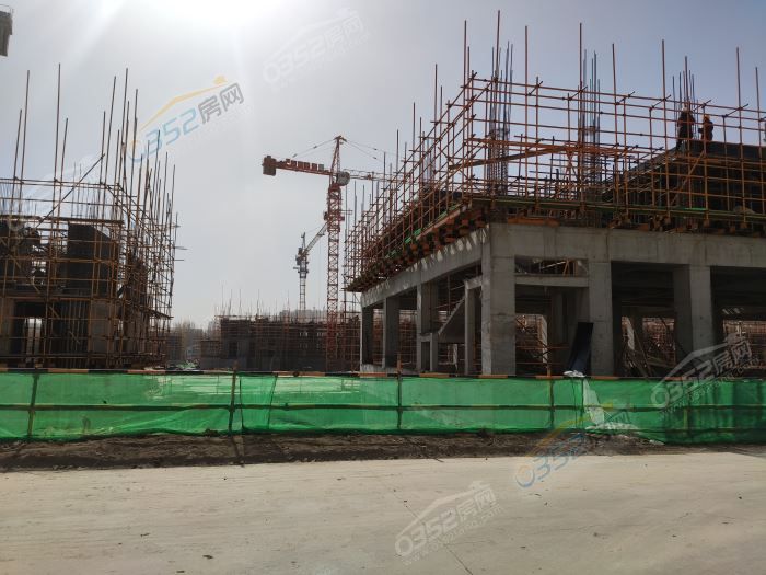 IMG_20210324_102534.jpg IMG_20210324_102534.jpg