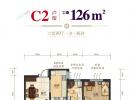 C2