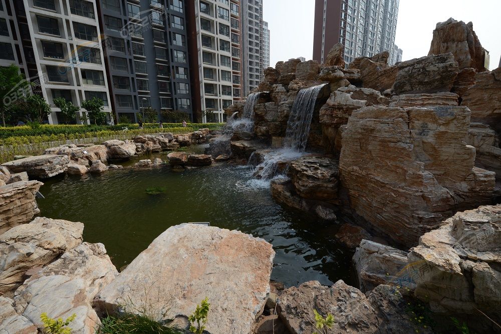 DSC_3166.JPG DSC_3166.JPG