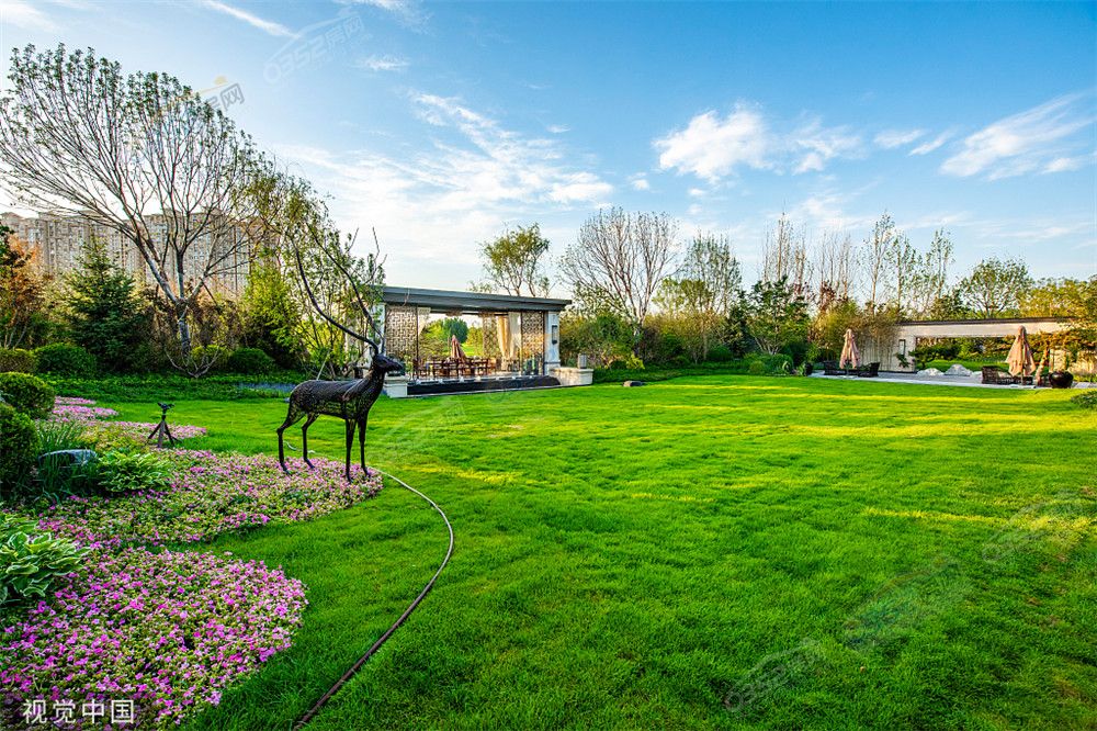 VCG211185163561.jpg VCG211185163561.jpg