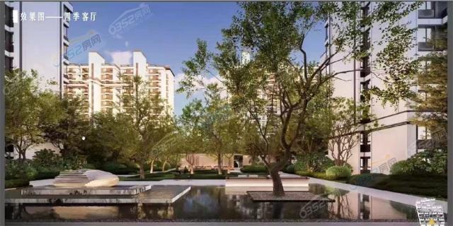 疊拼聯排園林效果圖