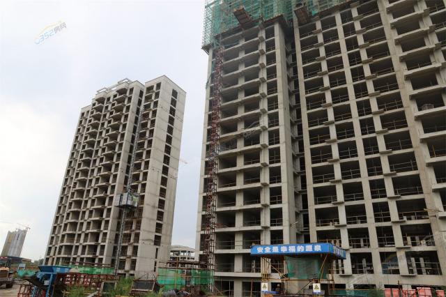 2022.7.25 32#33#34#35#36#̖ǶνYO