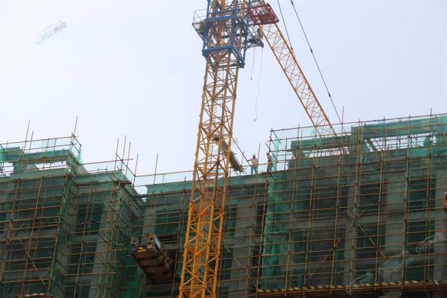 2022.7.25 32#33#34#35#36#̖ǶνYO