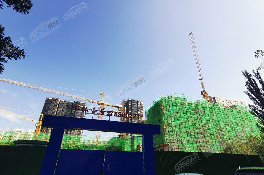 xuelinyihao2_鍓?湰.jpg xuelinyihao2_鍓?湰.jpg