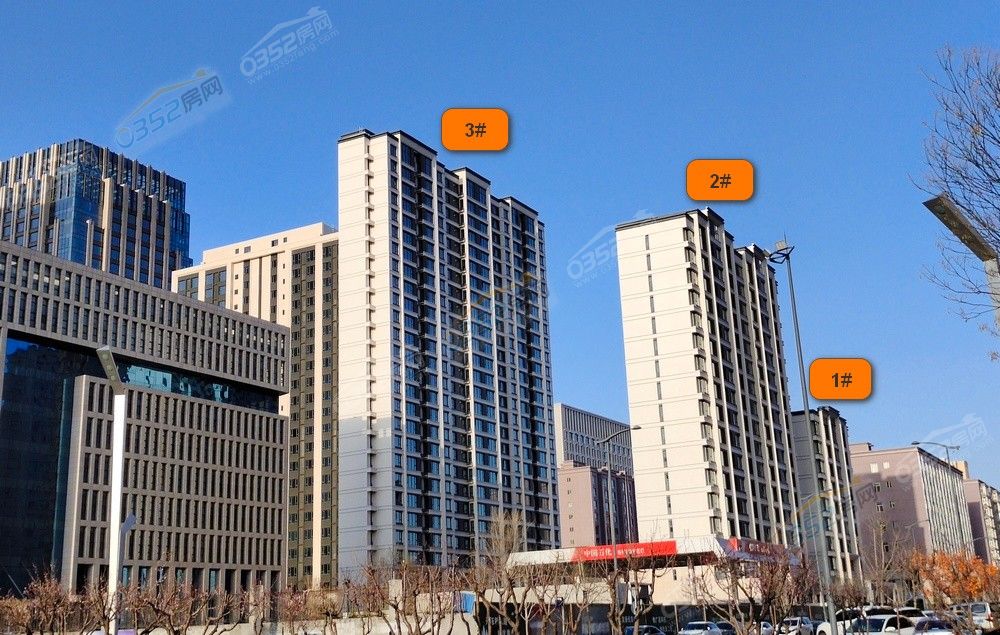 txlj2.jpg