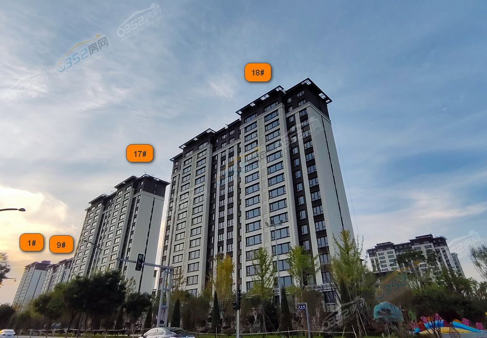 ysf01.jpg