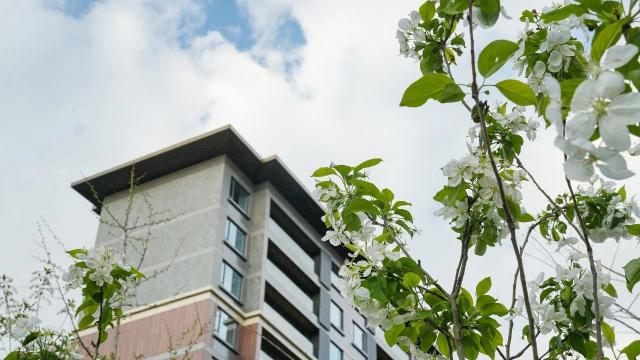 2025.3.28日錦山園交房實(shí)景圖