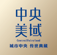 中央美域logo